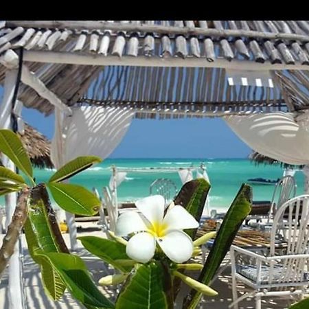 Luxury Simba House In Watamu ☆☆☆☆☆ Apartman Kültér fotó