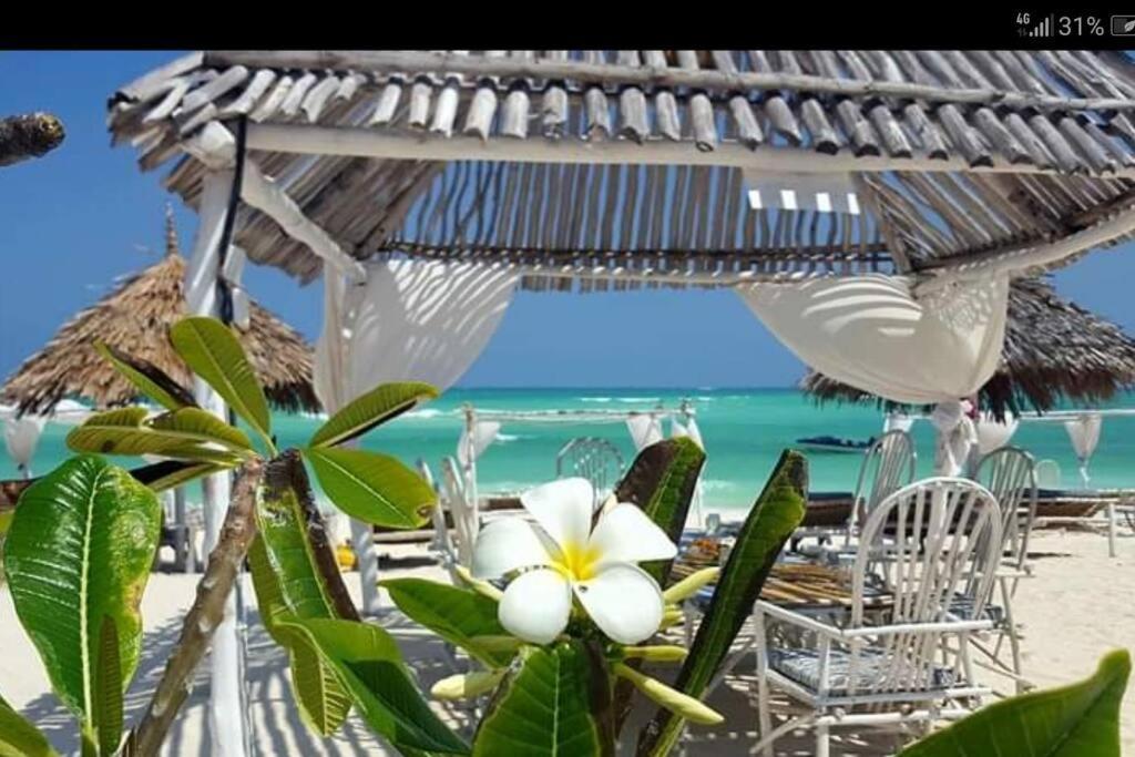 Luxury Simba House In Watamu ☆☆☆☆☆ Apartman Kültér fotó